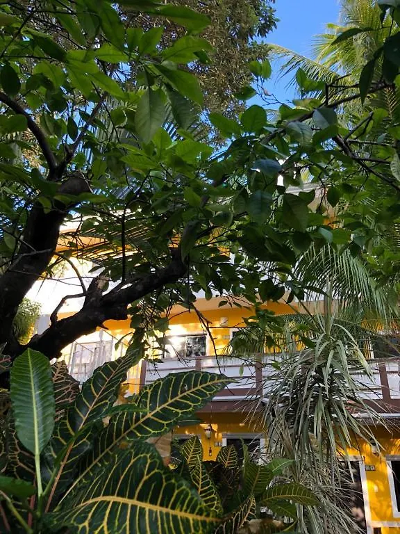 ***  Beach Energy Hotel By Bfh Playa del Carmen Mexico