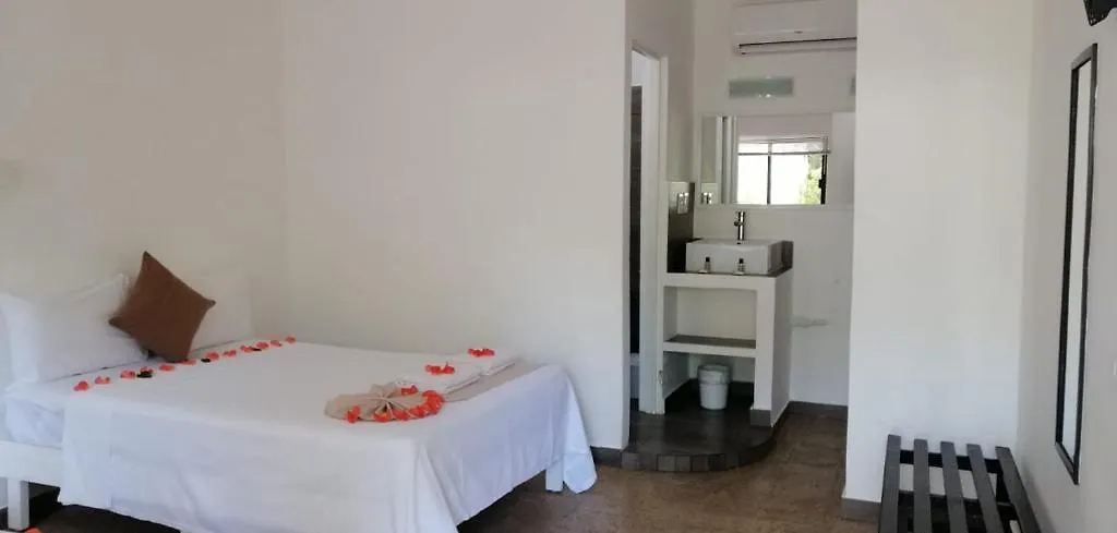 Beach Energy Hotel By Bfh Playa del Carmen 3*,  Messico